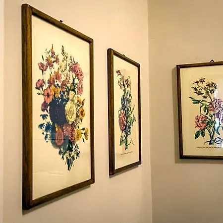 Hortensia Garden Bed & Breakfast Macerata